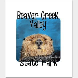 Beaver Creek Valley State Park, Minnesota Posters and Art